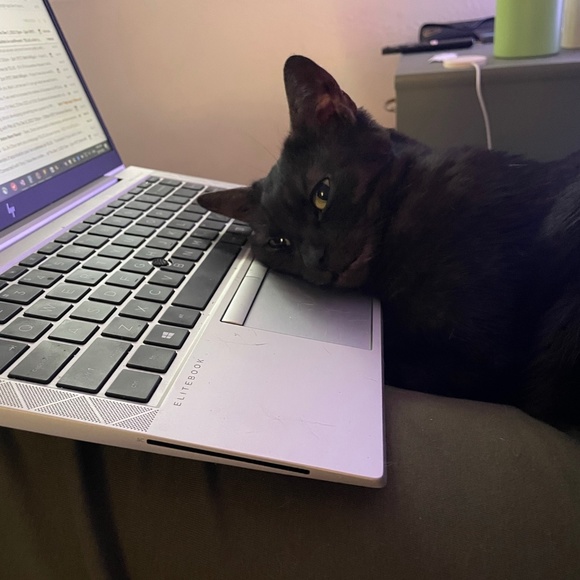 Meet your Posher, Brit - Picture 1 of 1